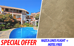 Vuelo a las Lineas de Nazca + Hotel gratis